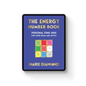 The Energy Number <br>E-Book (Kindle)